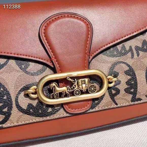 NWT COACH Guang Yu JADE SIG CC REXY Print Flap Shoulder X-body Bag Leather $398 - Picture 11 of 12